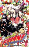 Tutor Hitman Reborn Nº 06/42