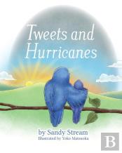 Tweets And Hurricanes