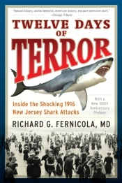 Twelve Days Of Terror