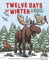 Twelve Days Of Winter