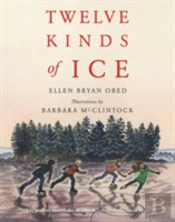 Twelve Kinds Of Ice
