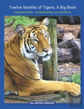 Twelve Months Of Tigers, A Big Book