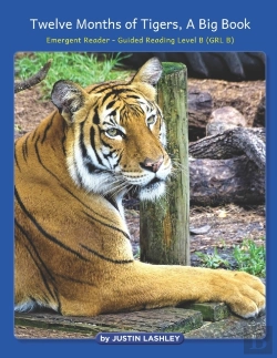 Bertrand.pt - Twelve Months Of Tigers, A Big Book