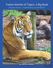 Twelve Months Of Tigers, A Big Book