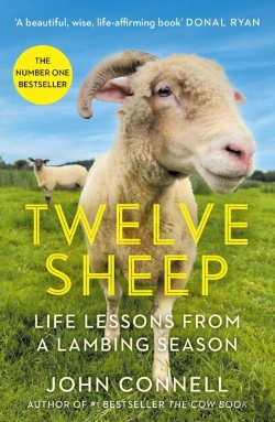 Bertrand.pt - Twelve Sheep