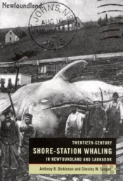 Twentieth-Century Shore-Station Whaling In Newfoundland And Labrador