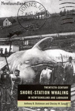 Bertrand.pt - Twentieth-Century Shore-Station Whaling In Newfoundland And Labrador