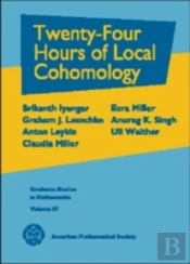 Twenty-Four Hours Of Local Cohomology