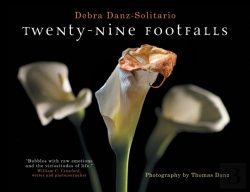 Bertrand.pt - Twenty-Nine Footfalls