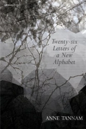 Twenty-Six Letters Of A New Alphabet