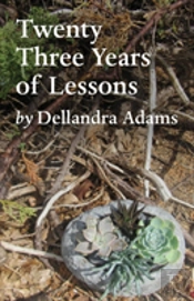 Twenty Three Years Of Lessons