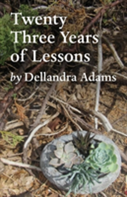 Bertrand.pt - Twenty Three Years Of Lessons