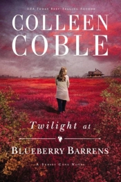 Twilight At Blueberry Barrens