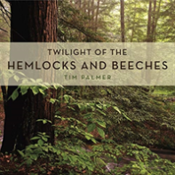 Twilight Of The Hemlocks And Beeches