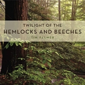 Twilight Of The Hemlocks And Beeches