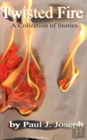 Twisted Fire: Stories From The Inner Fla