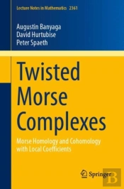Twisted Morse Complexes