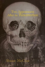 Two Appearances After The Resurrection