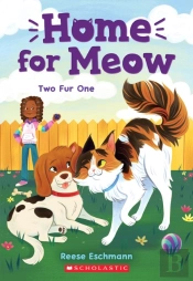 Two Fur One (Home For Meow #4)