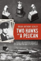 Two Hawks And A Pelican