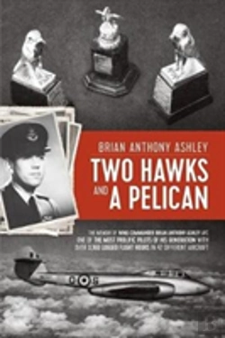 Bertrand.pt - Two Hawks And A Pelican