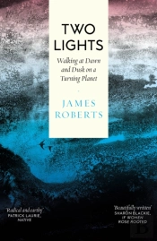 Two Lights