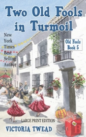 Two Old Fools In Turmoil - Large Print