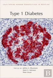 Type 1 Diabetes