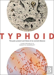 Typhoid