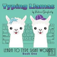 Typing Llamas