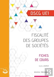 Ue1 : Fiscalité Des Groupes De Sociétés ; Dscg ; Fiches De Cours (Édition 2024)