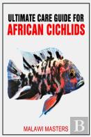 Ultimate Care Guide For African Cichlids