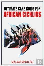 Ultimate Care Guide For African Cichlids