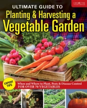 Ultimate Guide To Planting & Growing Vegetables At Home