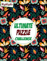 Ultimate Puzzle Challenge