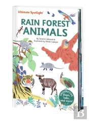 Ultimate Spotlight: Rain Forest Animals