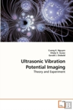 Bertrand.pt - Ultrasonic Vibration Potential Imaging