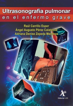 Bertrand.pt - Ultrasonografía Pulmonar En El Enfermo Grave