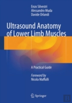 Bertrand.pt - Ultrasound Anatomy Of Lower Limb Muscles