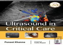 Ultrasound In Critical Care