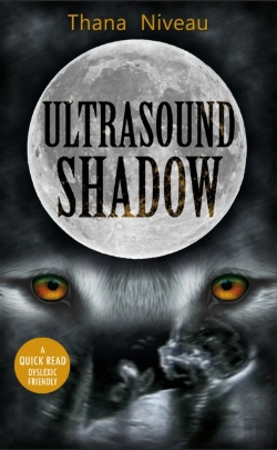 Bertrand.pt - Ultrasound Shadow