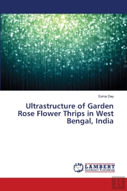 Bertrand.pt - Ultrastructure Of Garden Rose Flower Thrips In West Bengal, India