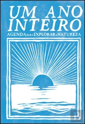 Um Ano Inteiro