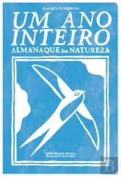 Um Ano Inteiro