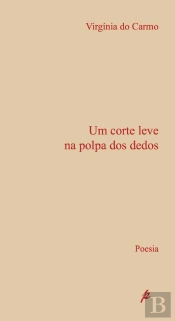 Um Corte Leve na Polpa dos Dedos