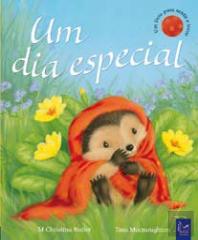 Um Dia Especial