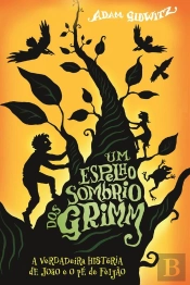 Um Espelho Sombrio Dos Grimm