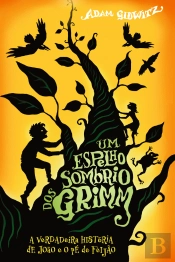 Um Espelho Sombrio dos Grimm