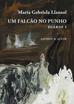 Bertrand.pt - Um Falcão no Punho