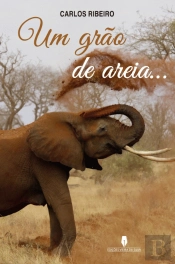 Um Grão de Areia...